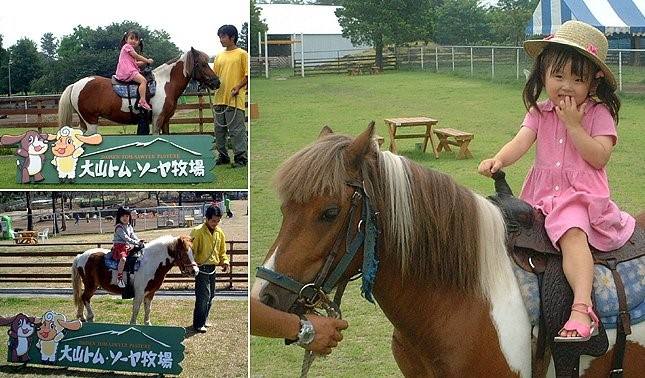ポニー乗馬体験の風景