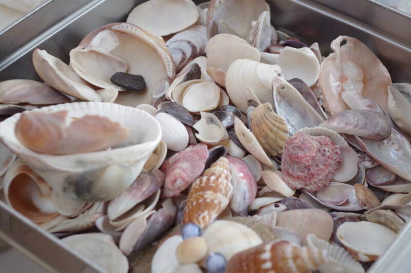 8/27 漂流物アート イメージ画像